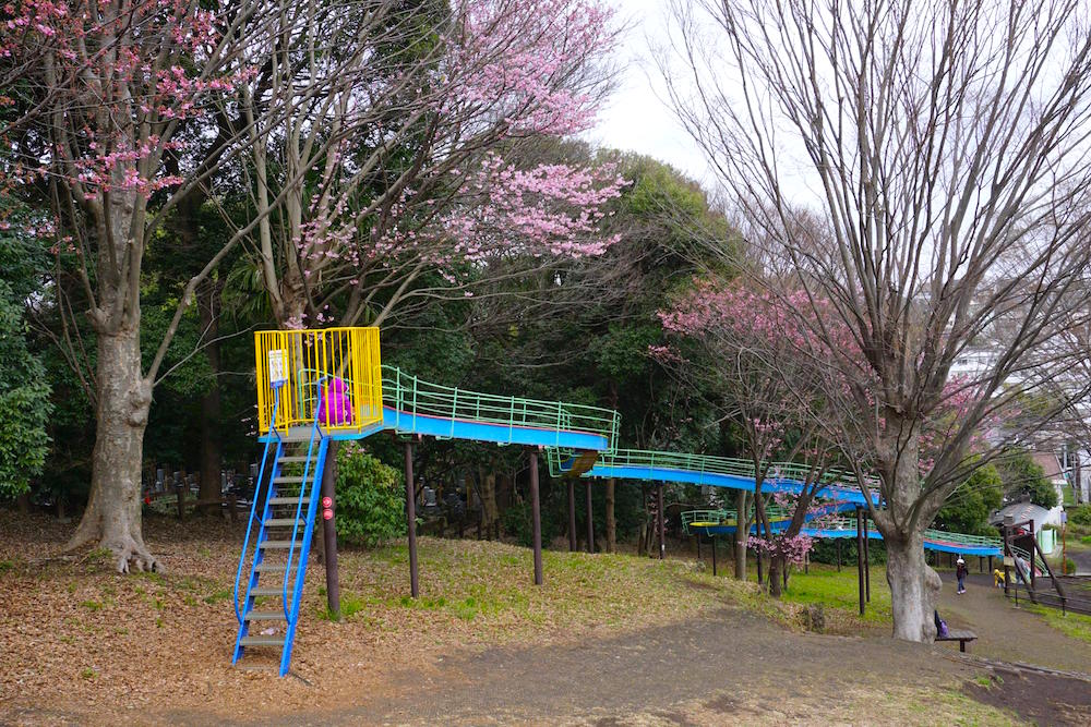 三ツ沢公園6