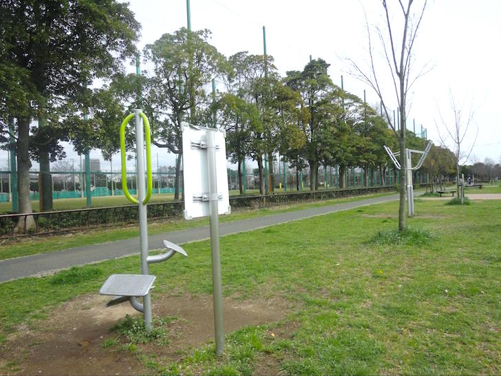 篠崎公園12