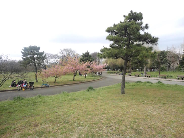 篠崎公園2