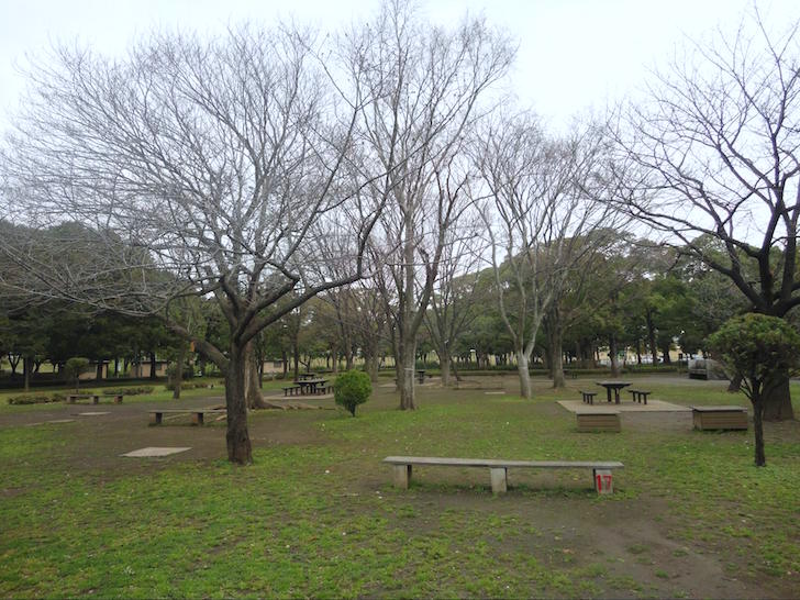 篠崎公園3
