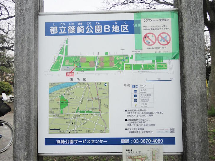 篠崎公園9