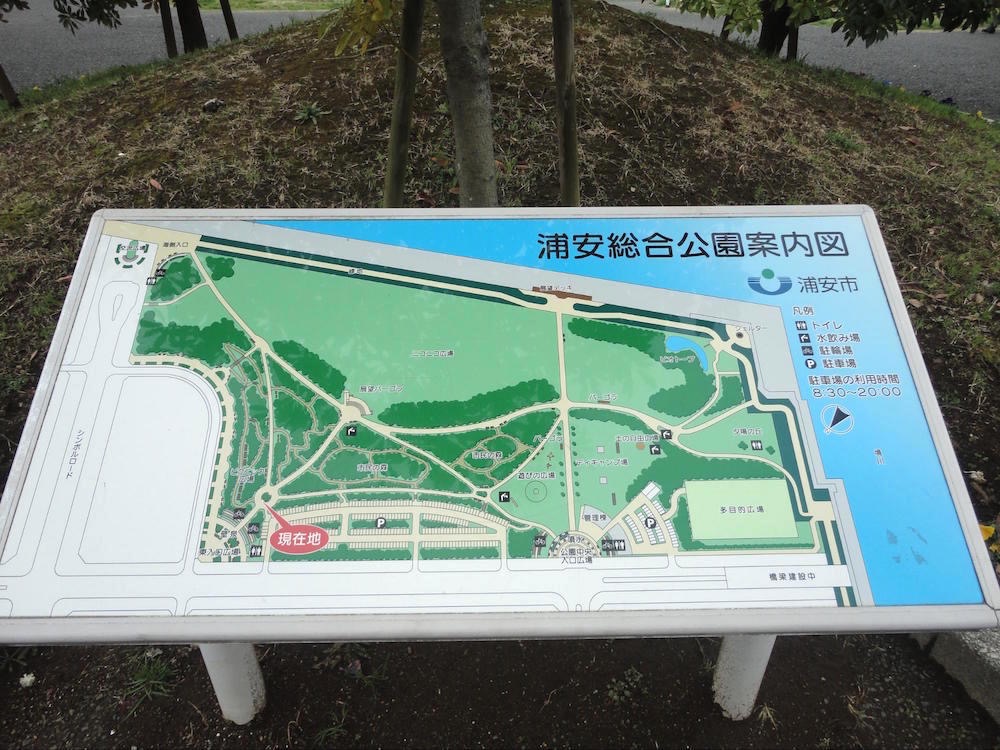 浦安市総合公園3