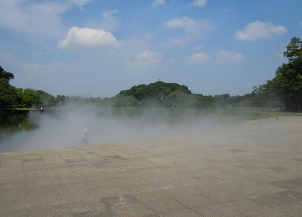 21世紀の森と広場