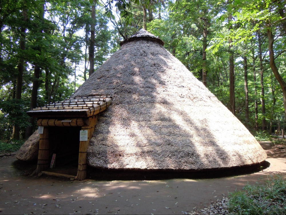 21世紀の森と広場