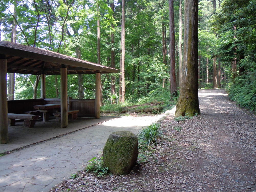 21世紀の森と広場