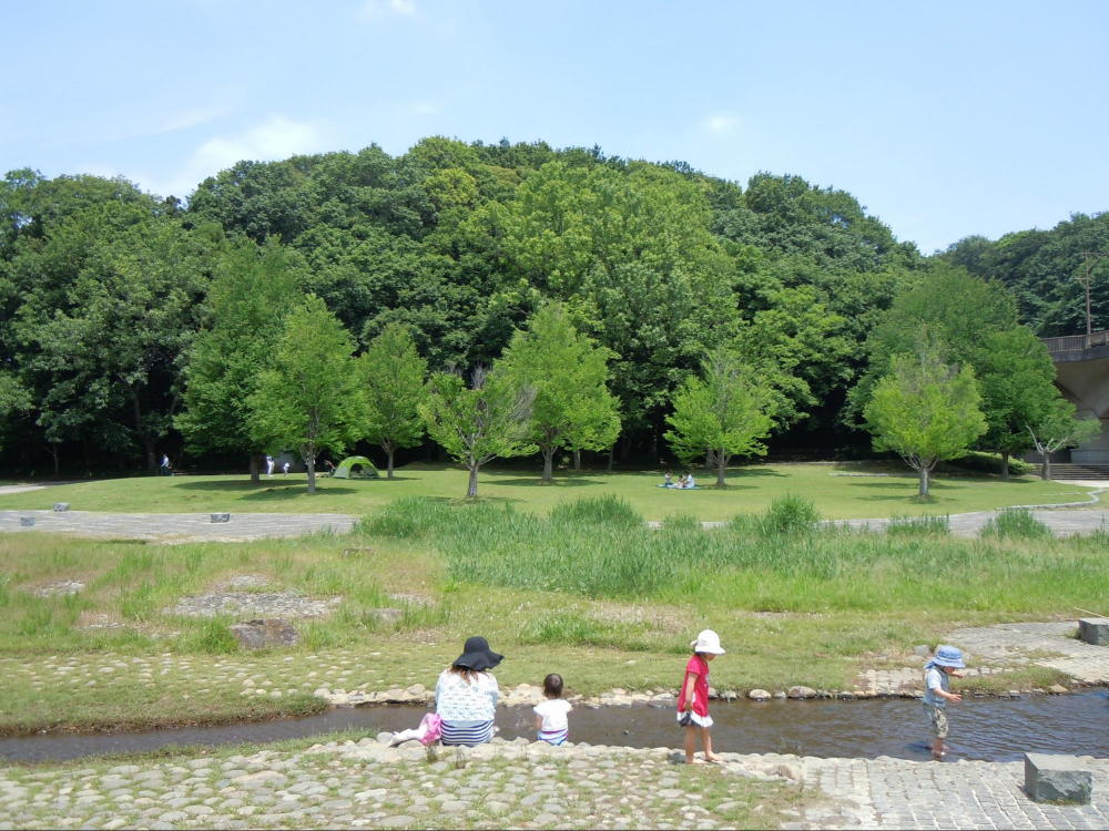 21世紀の森と広場
