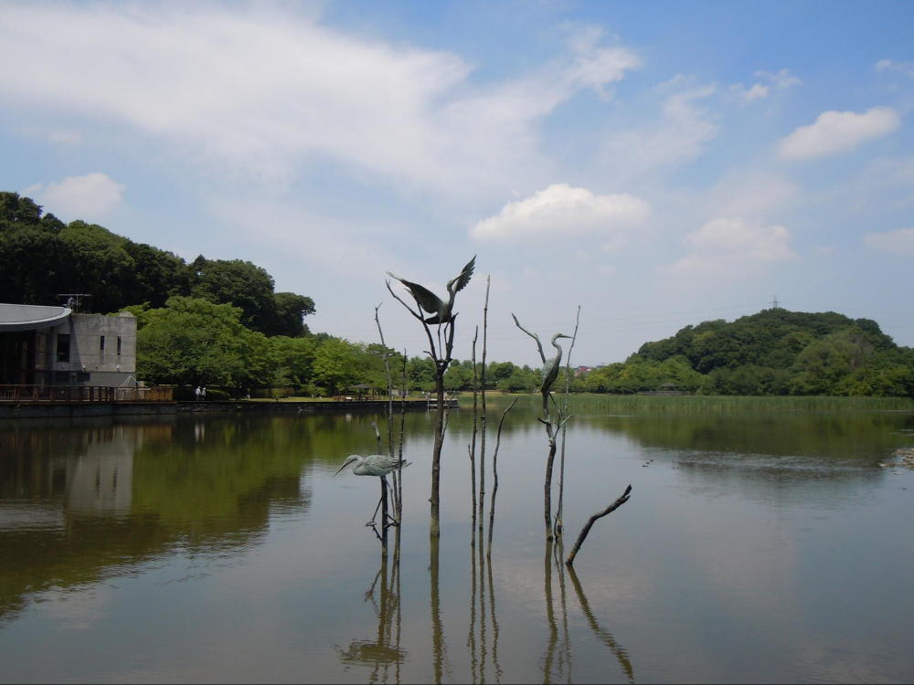 21世紀の森と広場