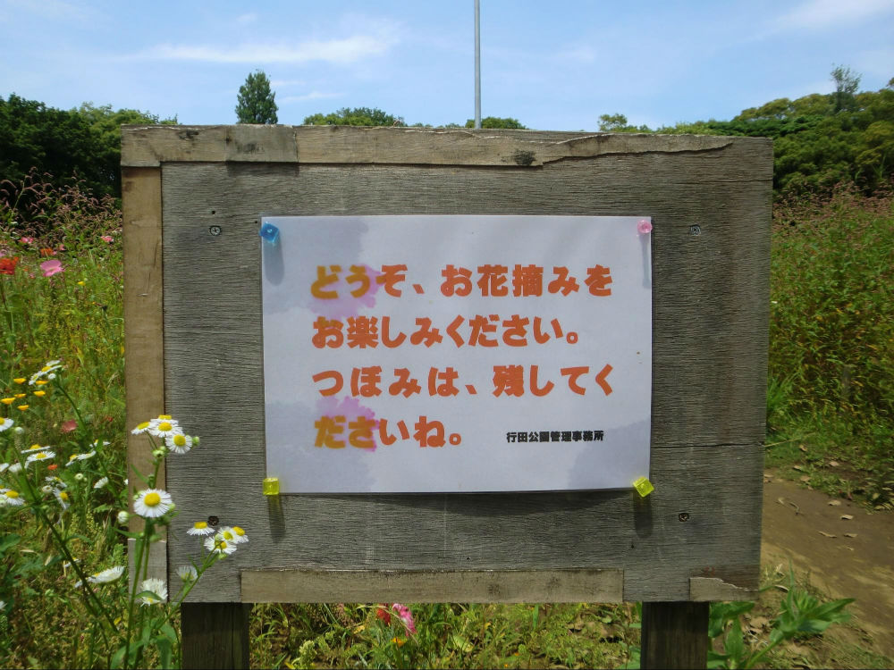 千葉県立行田公園