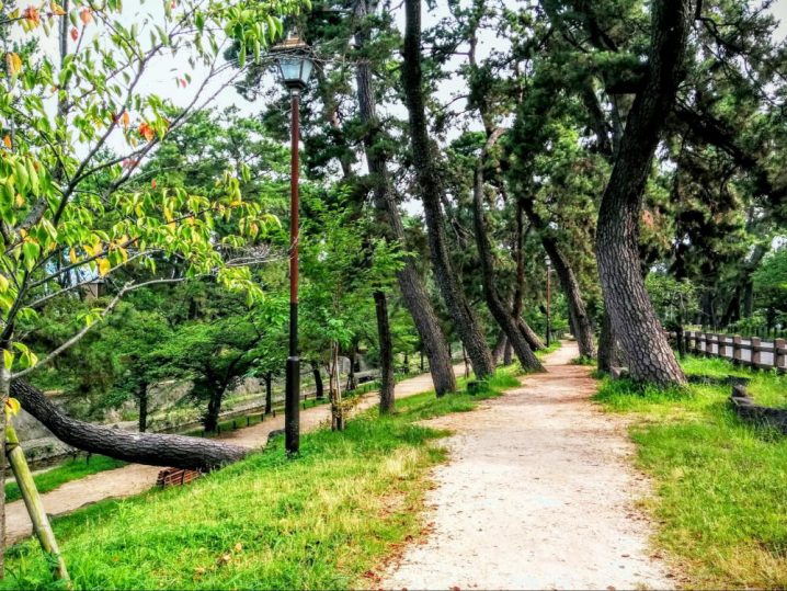 夙川河川敷緑地 夙川公園（兵庫県西宮市） PARKFUL公園をもっと身近に、もっと楽しく。