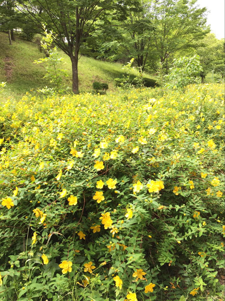 徳生公園