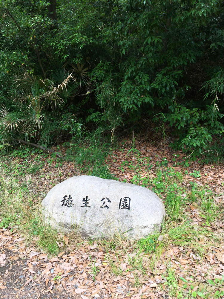 徳生公園