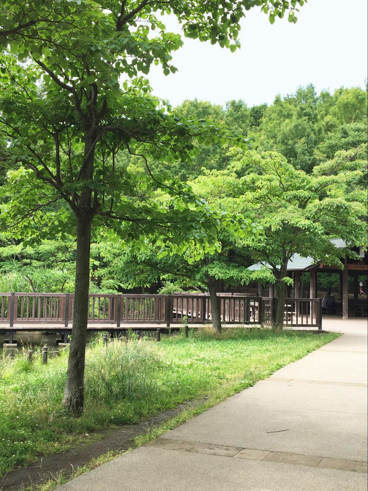 徳生公園