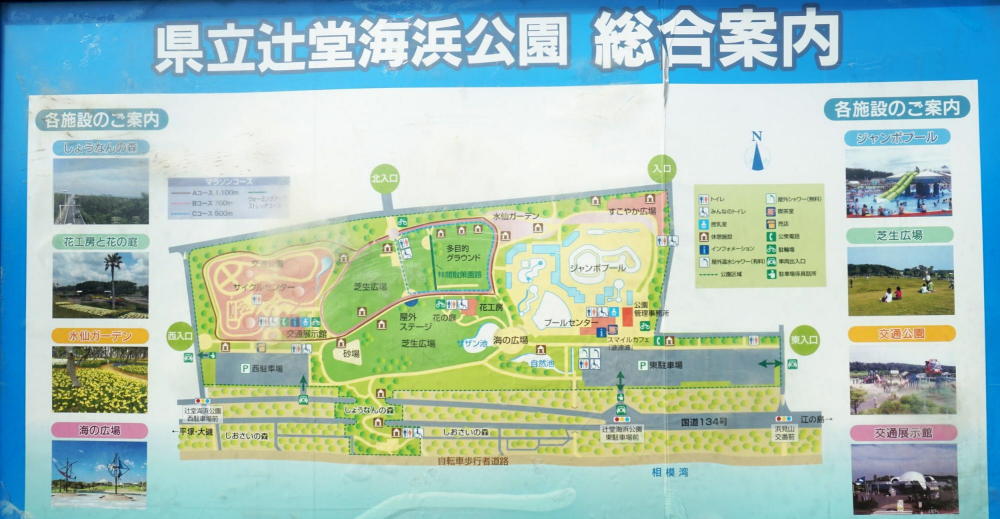 辻堂海浜公園