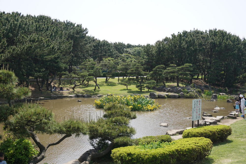 辻堂海浜公園
