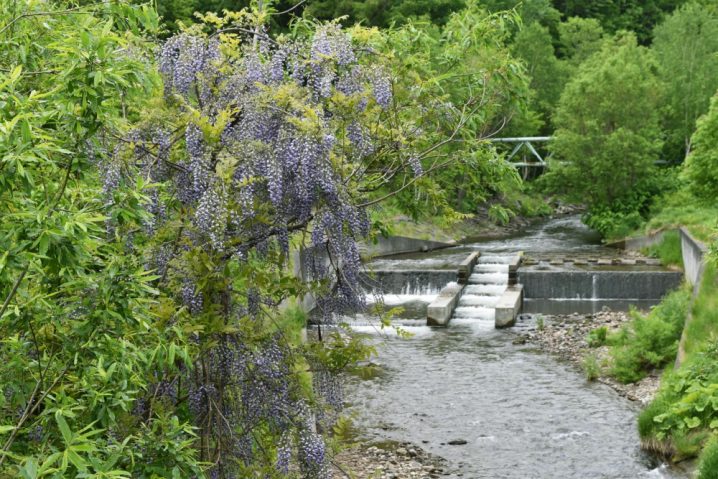 日本全国の公園の魅力を発信するWEBメディア          厚別川緑地（北海道札幌市）