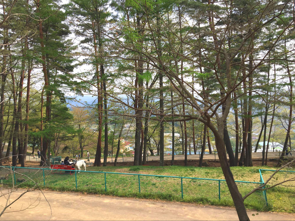 平尾山公園