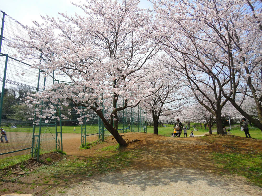 実籾本郷公園