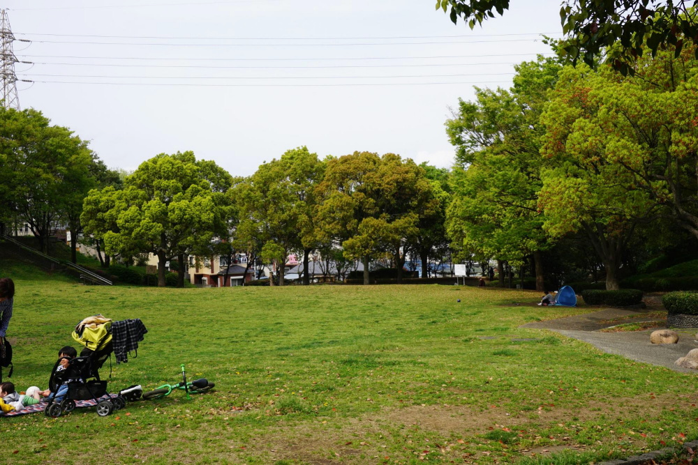清水ヶ丘公園