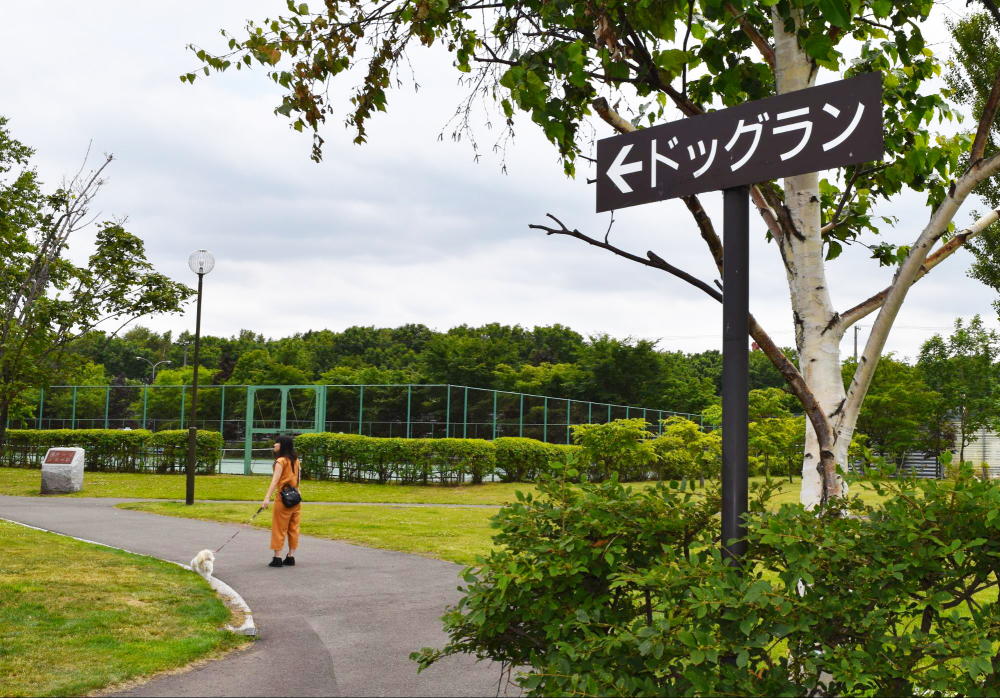 樽川公園