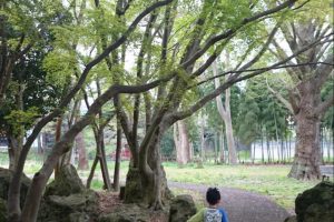 内みのわ運動公園