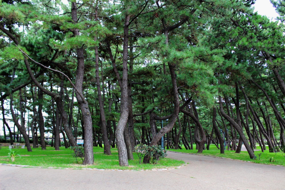兵庫県立舞子公園