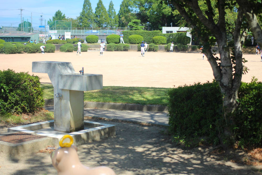 川島町総合スポーツ公園