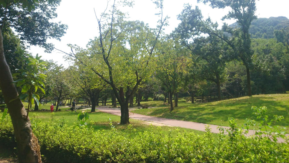 熊本県民運動公園