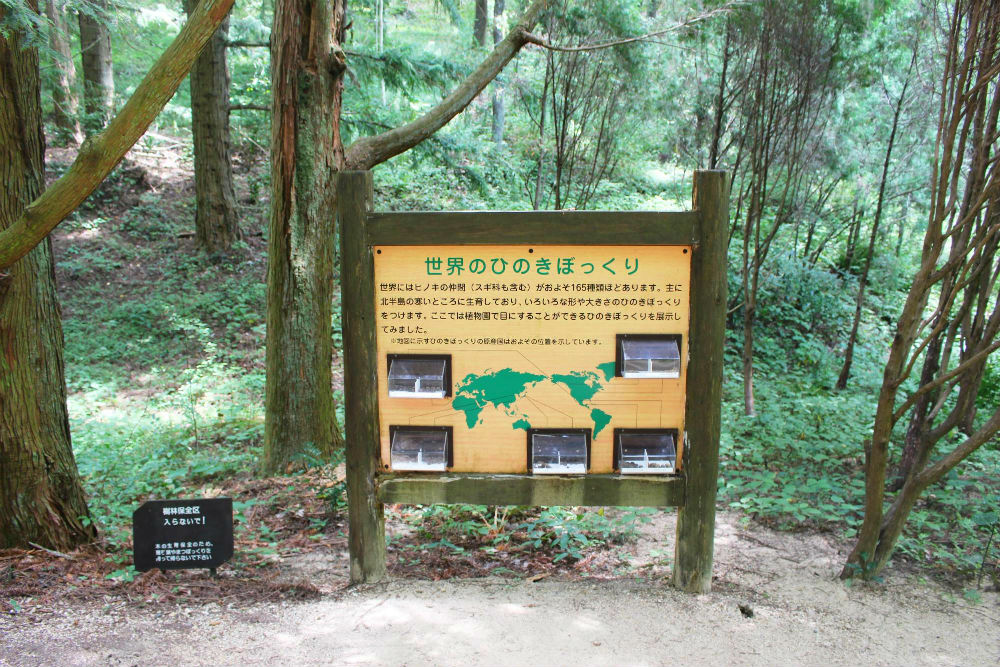 森林植物園