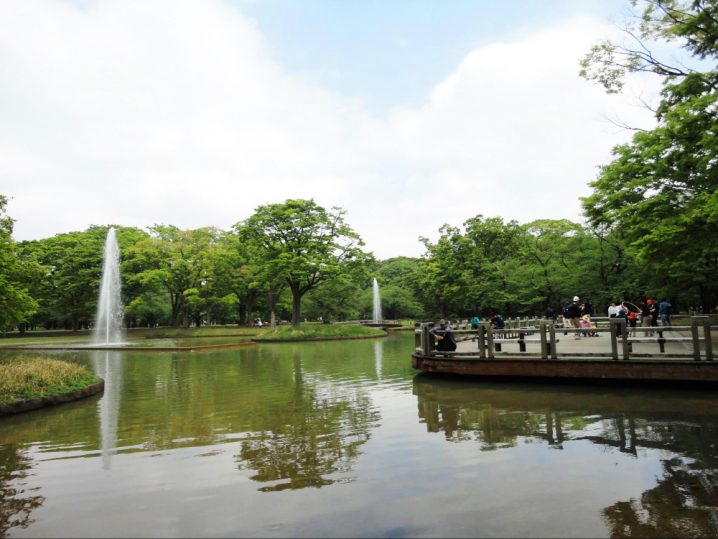 代々木公園（東京都渋谷区）｜公園専門メディアPARKFUL