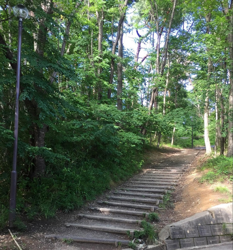 真美 沢 公園