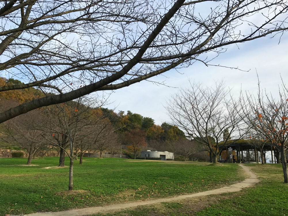 松山総合公園
