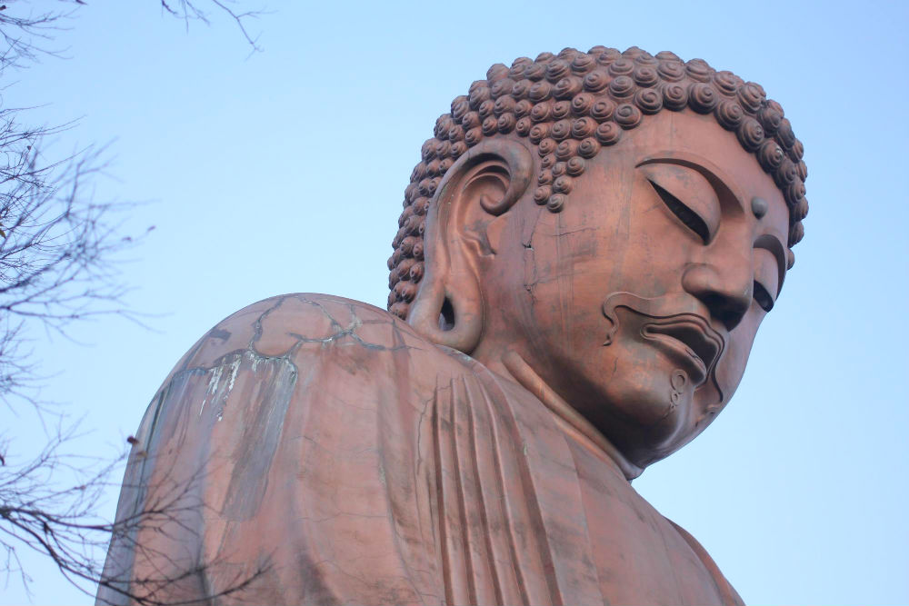 聚楽園公園
