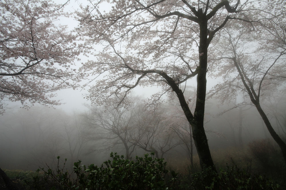 太平山県立自然公園