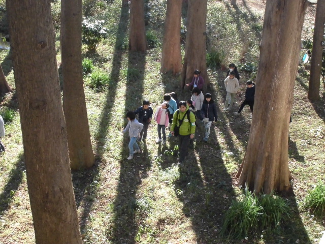Kids Outdoor School 林試の森公園