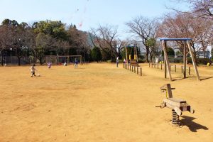 日本全国の公園の魅力を発信するWEBメディア          流山市総合運動公園（千葉県流山市）