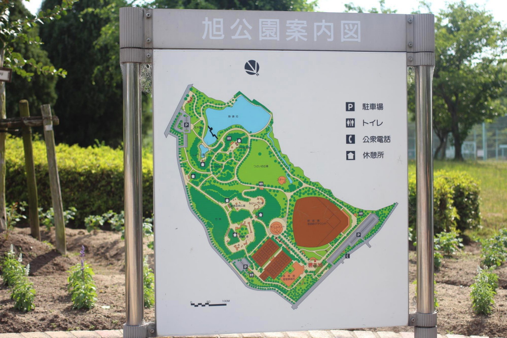 旭公園（愛知県知多市）| PARKFUL公園をもっと身近に、もっと楽しく。