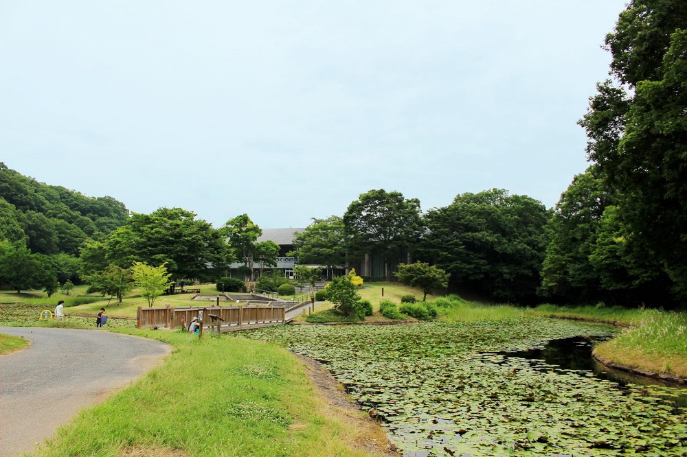 兵庫県立三木山森林公園