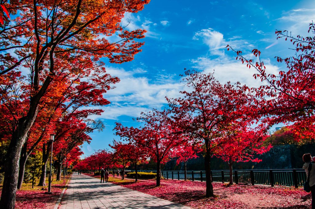 紅葉の美しい公園：大阪城公園（大阪府大阪市）| PARKFUL公園をもっと身近に、もっと楽しく。