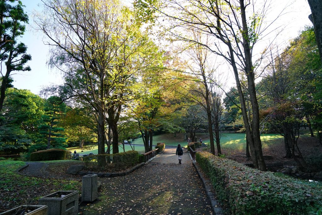 紅葉の美しい公園：一本杉公園（東京都多摩市）| PARKFUL公園をもっと身近に、もっと楽しく。