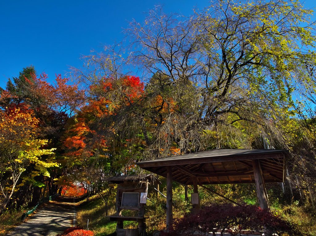 紅葉の美しい公園：西山公園（長野県諏訪市）| PARKFUL公園をもっと身近に、もっと楽しく。