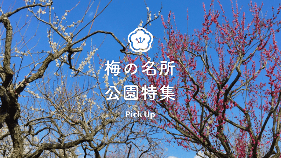 2021 梅 見頃 【関西・梅の名所】梅の花を楽しめる厳選スポット5選