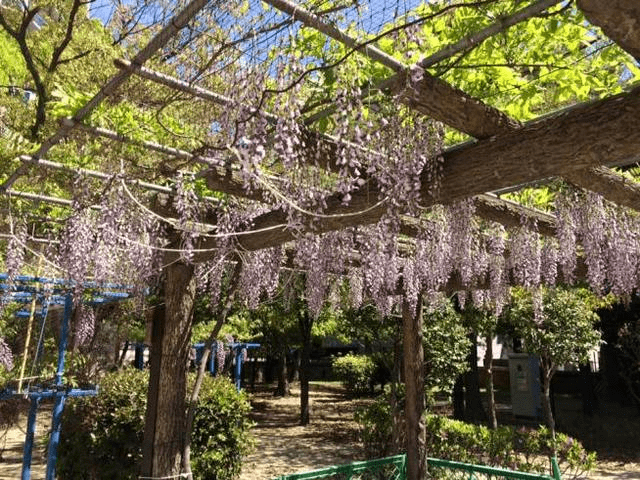 下福島公園