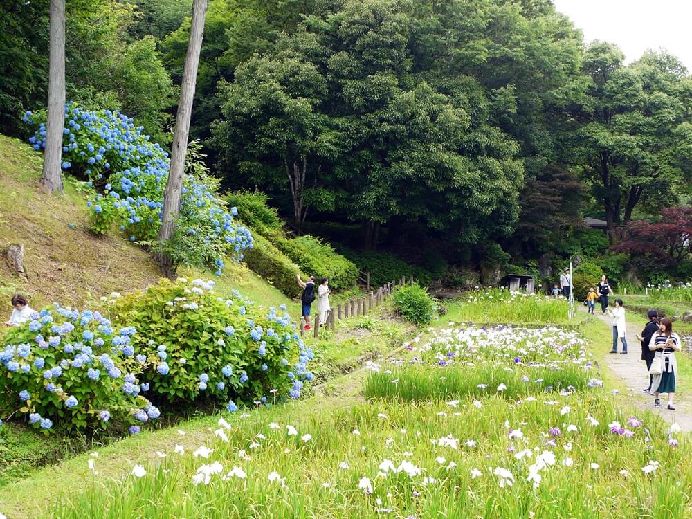 岐阜県百年公園