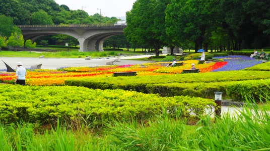 日本全国の公園の魅力を発信するWEBメディア          雄大な自然広がる、都心に近いオアシス！21世紀の森と広場（千葉県松戸市）