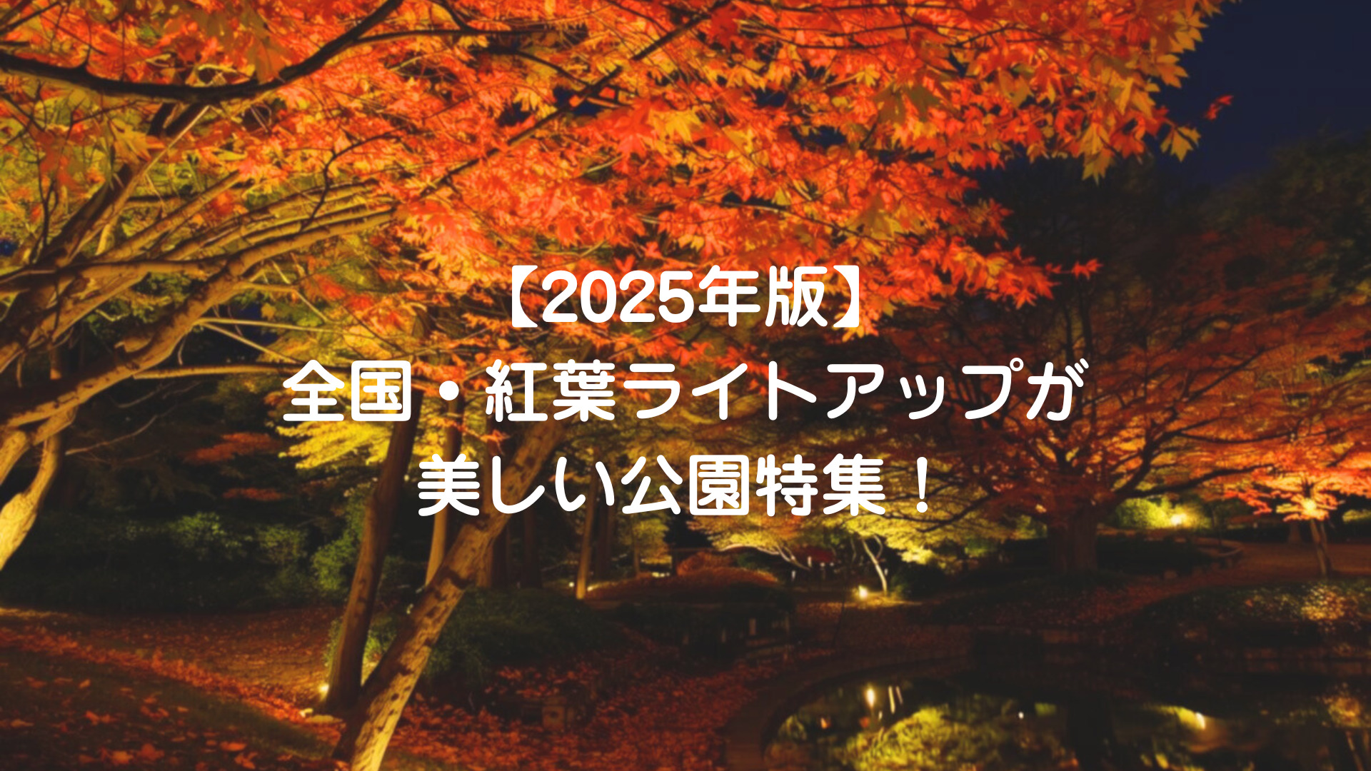 紅葉ライトアップ