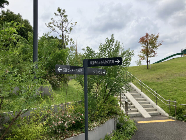 大和田水辺の丘公園 水遊び場