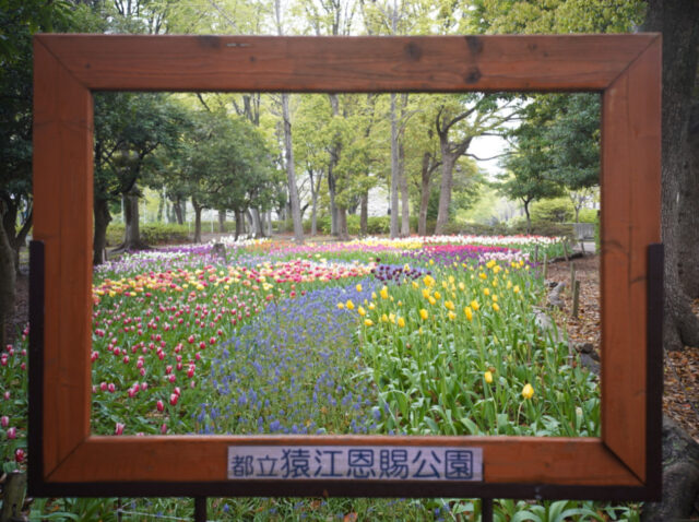 猿江恩賜公園のフォトフレーム