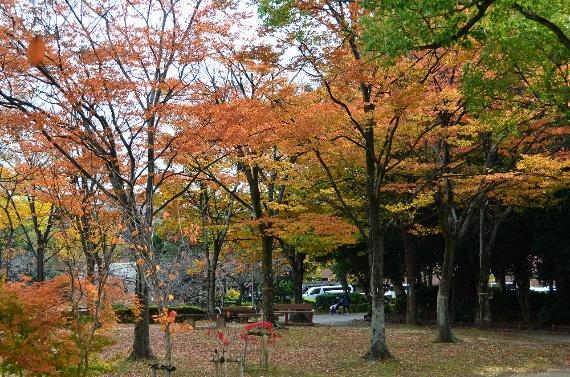 安城市の中心にある自然に囲まれた憩いの場 安城公園 愛知県安城市 公園専門メディアparkful