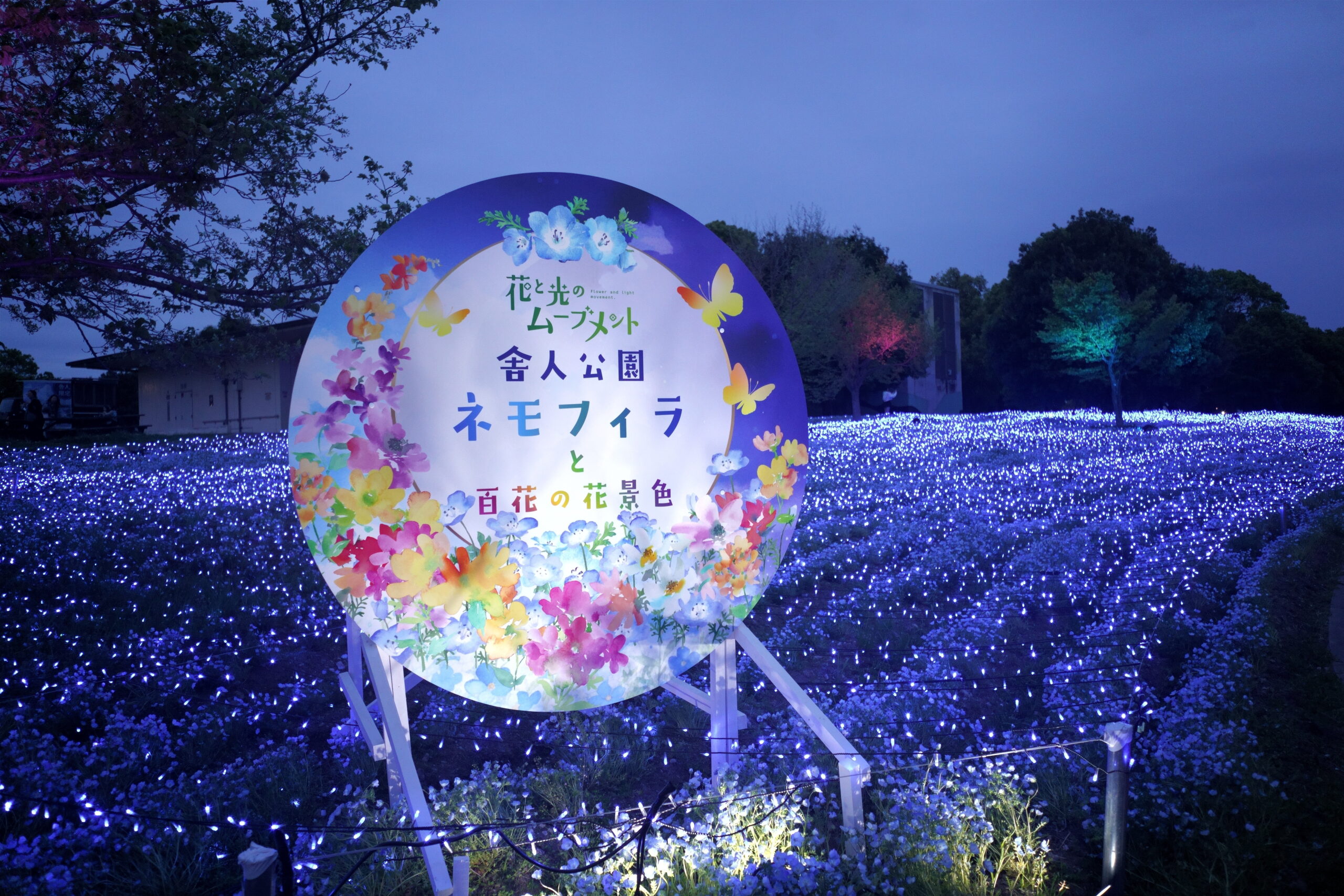 取材レポ】都立舎人公園「花と光のムーブメント」ネモフィラブルーと光