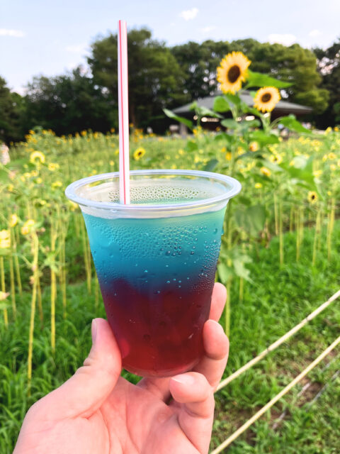 青と赤のグラデーションが美しいドリンク